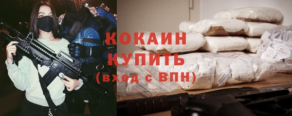 прущий лед Алзамай