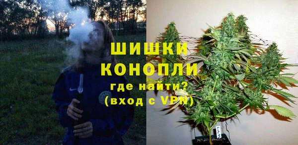 прущие грибы Аркадак