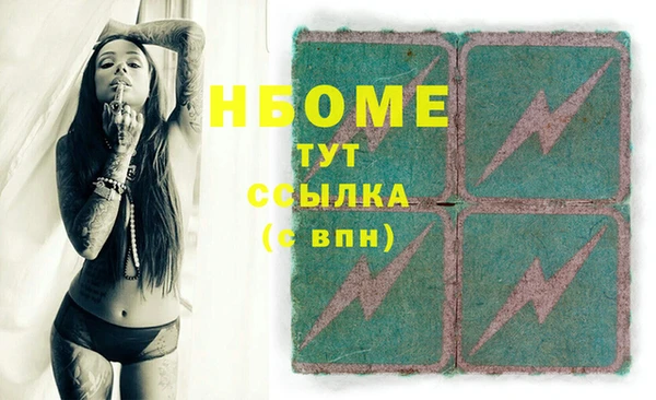 прущий лед Алзамай