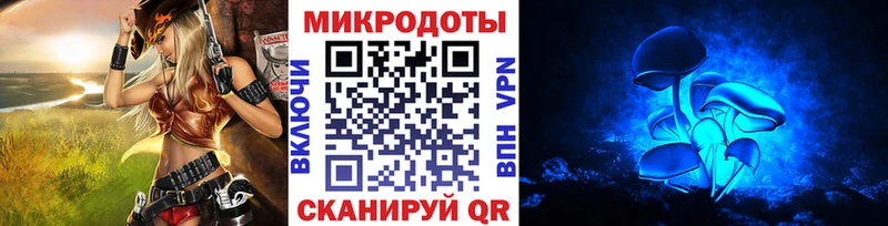 MEGA как зайти Калининск Галлюциногенные грибы Psilocybe